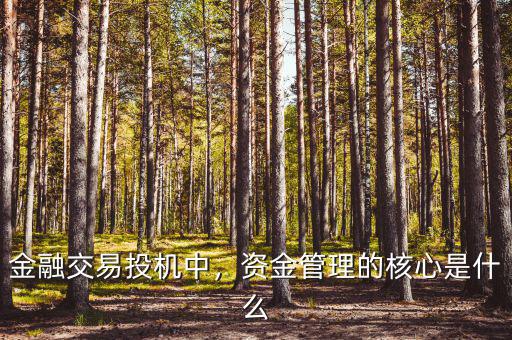 金融交易投機(jī)中，資金管理的核心是什么
