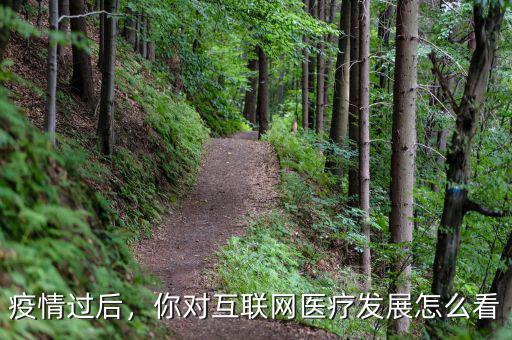 疫情過后，你對互聯(lián)網(wǎng)醫(yī)療發(fā)展怎么看