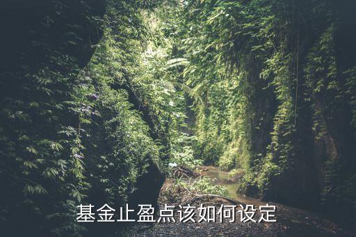 基金止盈點該如何設定