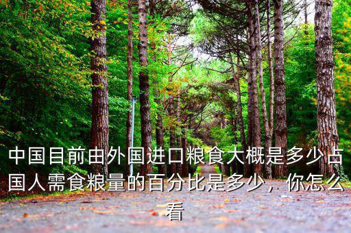 中國目前由外國進(jìn)口糧食大概是多少占國人需食糧量的百分比是多少，你怎么看