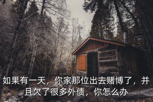 如果有一天，你家那位出去賭博了，并且欠了很多外債，你怎么辦