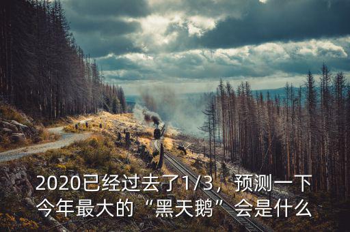 2020已經(jīng)過去了1/3，預(yù)測一下今年最大的“黑天鵝”會(huì)是什么