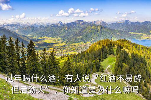 過年喝什么酒：有人說“紅酒不易醉，但后勁大”，你知道是為什么嘛嗎