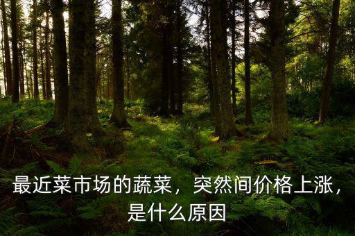 最近菜市場的蔬菜，突然間價格上漲，是什么原因
