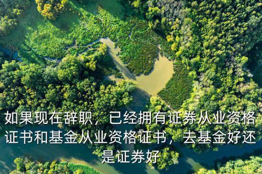 如果現(xiàn)在辭職，已經(jīng)擁有證券從業(yè)資格證書和基金從業(yè)資格證書，去基金好還是證券好