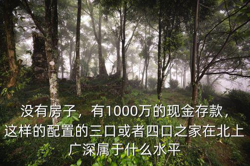 沒有房子，有1000萬的現(xiàn)金存款，這樣的配置的三口或者四口之家在北上廣深屬于什么水平