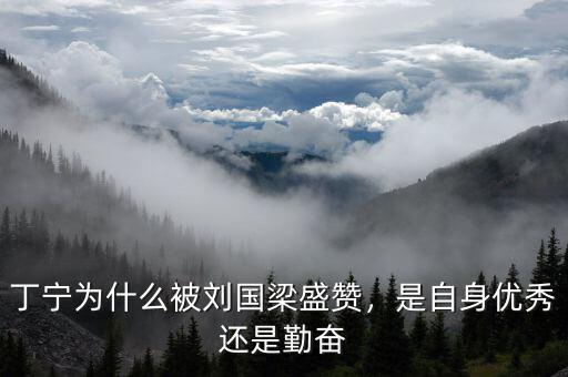 丁寧為什么被劉國(guó)梁盛贊，是自身優(yōu)秀還是勤奮