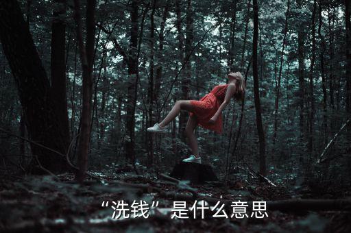 “洗錢(qián)”是什么意思