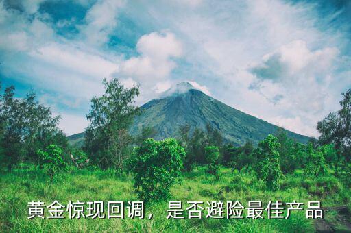 黃金驚現(xiàn)回調(diào)，是否避險最佳產(chǎn)品