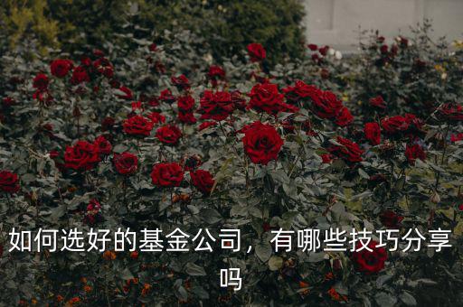 如何選好的基金公司，有哪些技巧分享嗎