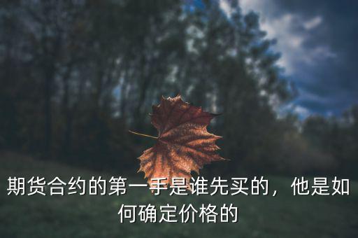 期貨合約的第一手是誰先買的，他是如何確定價格的