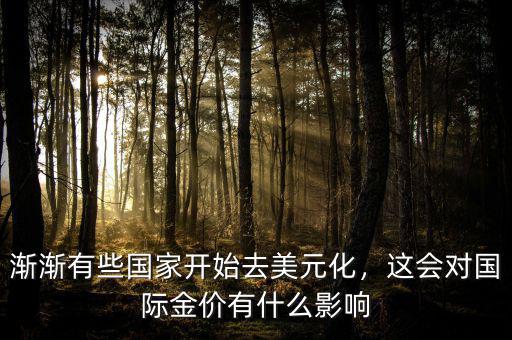 漸漸有些國家開始去美元化，這會(huì)對(duì)國際金價(jià)有什么影響