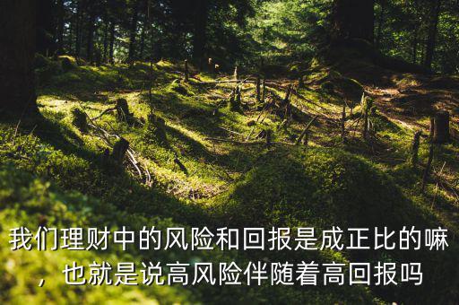 我們理財中的風(fēng)險和回報是成正比的嘛，也就是說高風(fēng)險伴隨著高回報嗎