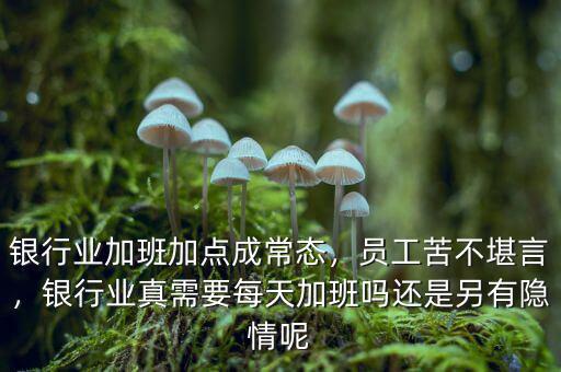 銀行業(yè)加班加點(diǎn)成常態(tài)，員工苦不堪言，銀行業(yè)真需要每天加班嗎還是另有隱情呢