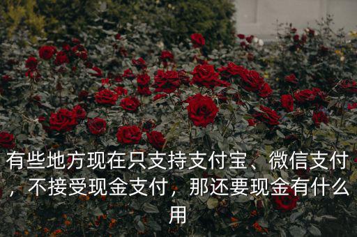 有些地方現(xiàn)在只支持支付寶、微信支付，不接受現(xiàn)金支付，那還要現(xiàn)金有什么用