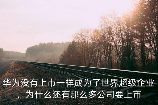 華為沒有上市一樣成為了世界超級企業(yè)，為什么還有那么多公司要上市