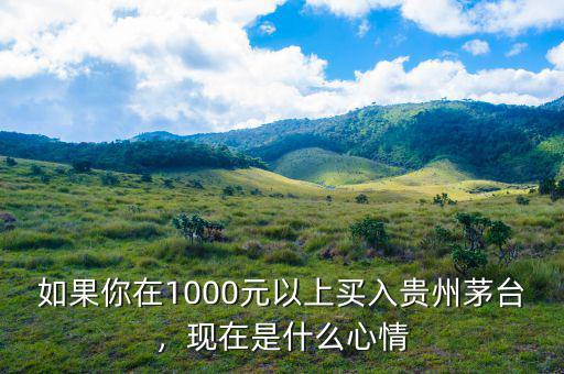 如果你在1000元以上買入貴州茅臺，現(xiàn)在是什么心情