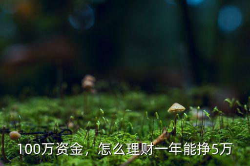 100萬(wàn)資金，怎么理財(cái)一年能掙5萬(wàn)
