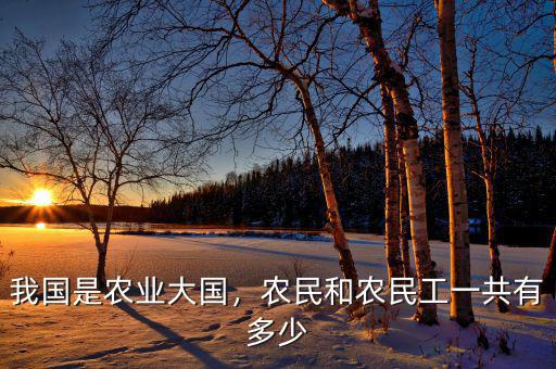 我國是農(nóng)業(yè)大國，農(nóng)民和農(nóng)民工一共有多少