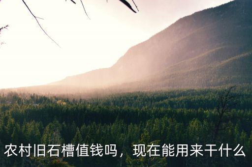 馬蔚華現在干什么,現在農業(yè)干什么掙錢