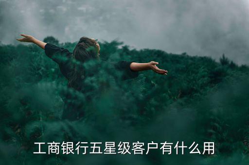 工商銀行五星級(jí)客戶(hù)有什么用