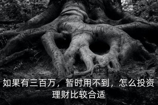 如果有三百萬，暫時用不到，怎么投資理財比較合適