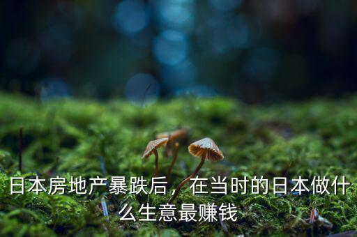 日本房地產(chǎn)暴跌后，在當(dāng)時(shí)的日本做什么生意最賺錢