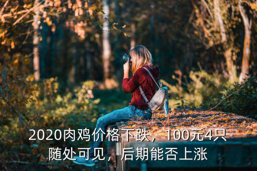 2020肉雞價(jià)格下跌，100元4只隨處可見(jiàn)，后期能否上漲