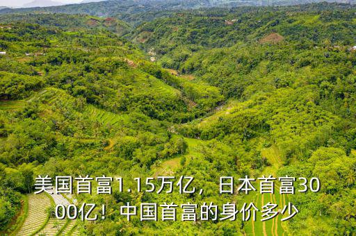 美國(guó)首富1.15萬(wàn)億，日本首富3000億！中國(guó)首富的身價(jià)多少