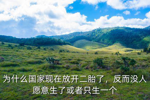 為什么國(guó)家現(xiàn)在放開二胎了，反而沒人愿意生了或者只生一個(gè)