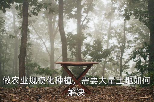 什么是土地規(guī)?；?jīng)營,規(guī)?；?jīng)營有哪些好處