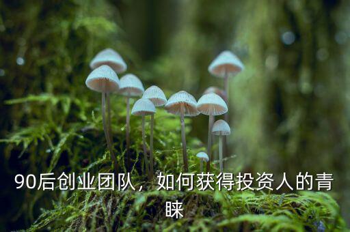 90后創(chuàng)業(yè)團(tuán)隊(duì)，如何獲得投資人的青睞