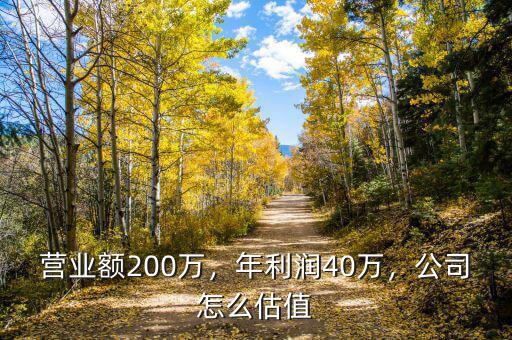 營業(yè)額200萬，年利潤40萬，公司怎么估值