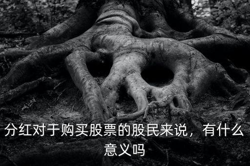 分紅對于購買股票的股民來說，有什么意義嗎