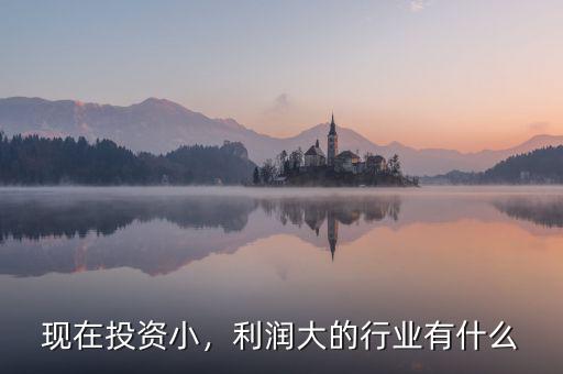 現(xiàn)在投資小，利潤(rùn)大的行業(yè)有什么