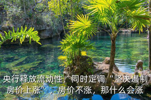 央行釋放流動性，同時定調(diào)“堅決遏制房價上漲”，房價不漲，那什么會漲