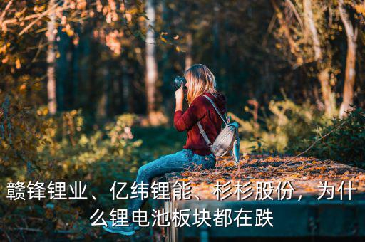 贛鋒鋰業(yè)、億緯鋰能、杉杉股份，為什么鋰電池板塊都在跌