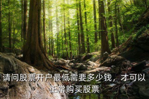請(qǐng)問股票開戶最低需要多少錢，才可以正常購買股票