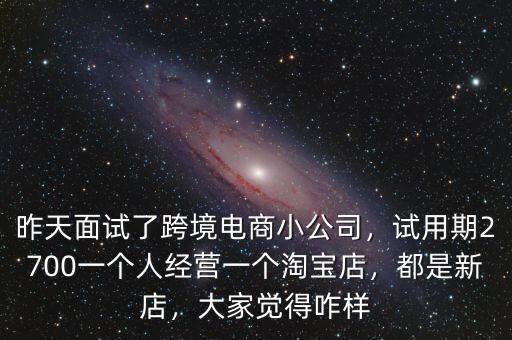 昨天面試了跨境電商小公司，試用期2700一個(gè)人經(jīng)營(yíng)一個(gè)淘寶店，都是新店，大家覺(jué)得咋樣