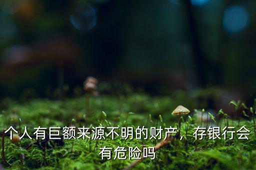 個人有巨額來源不明的財產(chǎn)，存銀行會有危險嗎