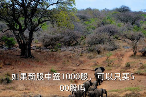 如果新股中簽1000股，可以只買500股嗎