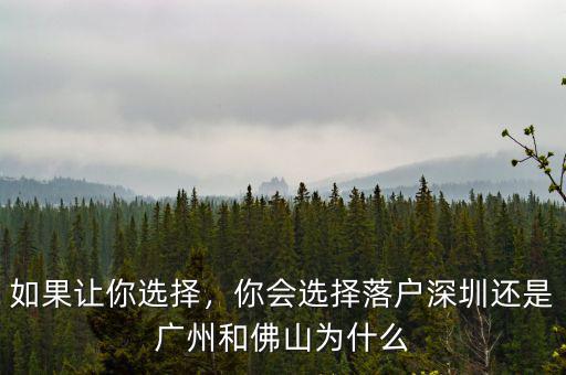 如果讓你選擇，你會選擇落戶深圳還是廣州和佛山為什么