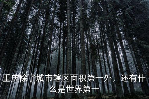 重慶除了城市轄區(qū)面積第一外，還有什么是世界第一