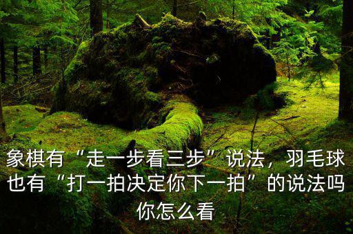 象棋有“走一步看三步”說法，羽毛球也有“打一拍決定你下一拍”的說法嗎你怎么看