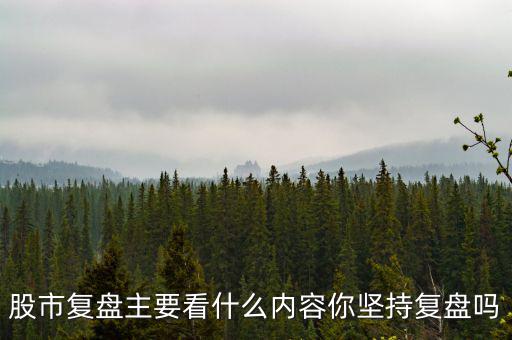 股市復盤主要看什么內容你堅持復盤嗎