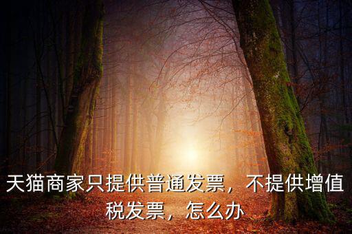 天貓商家只提供普通發(fā)票，不提供增值稅發(fā)票，怎么辦