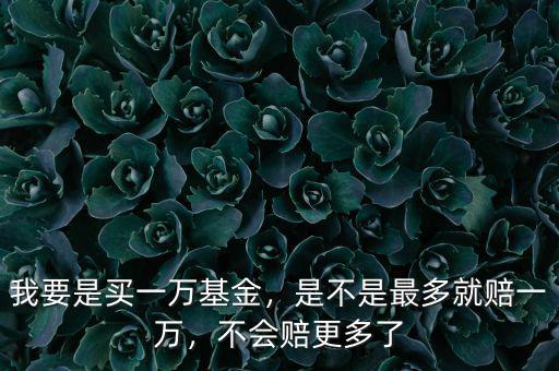 我要是買一萬基金，是不是最多就賠一萬，不會賠更多了