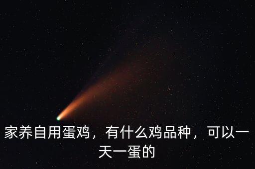 家養(yǎng)自用蛋雞，有什么雞品種，可以一天一蛋的