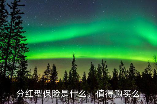 分紅型保險(xiǎn)是什么，值得購(gòu)買(mǎi)么
