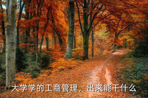 大學(xué)學(xué)的工商管理，出來能干什么